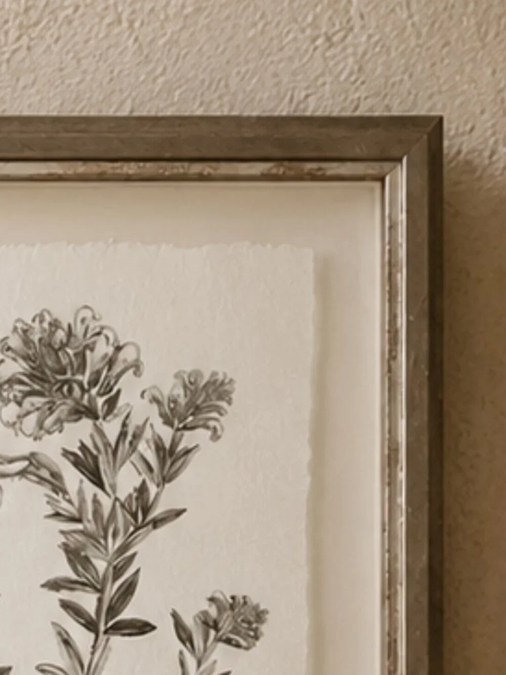 Botanical Study in Sage Floral Illustration Framed Wall Art Print